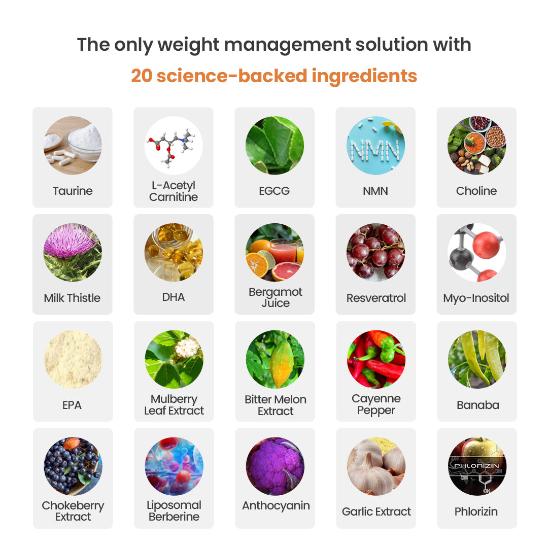 Fat Metabolism Boost