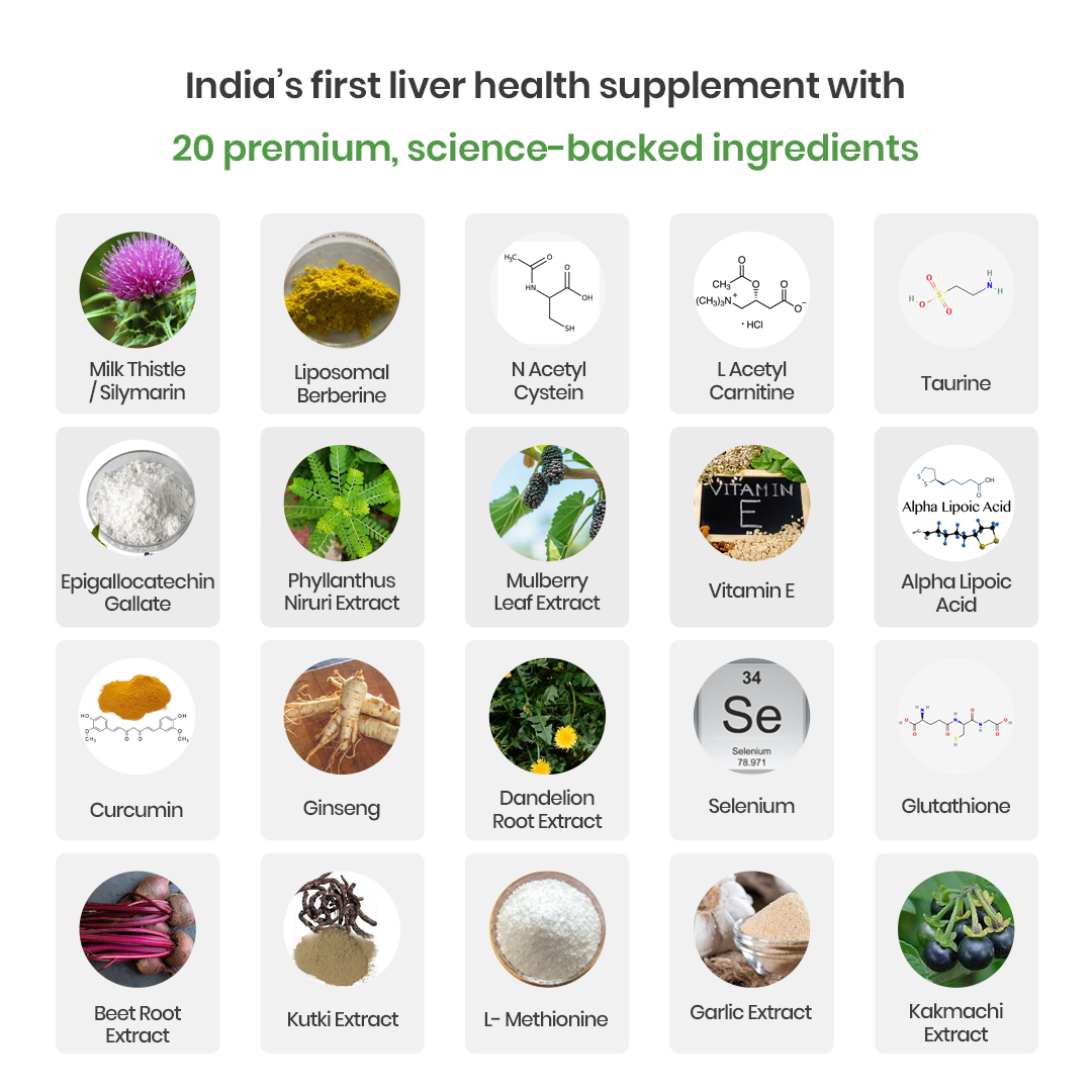 Fatty Liver Revive