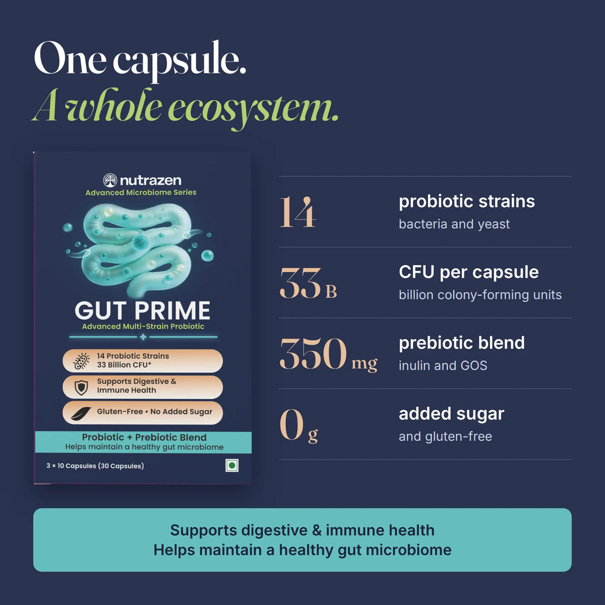 Gut Prime