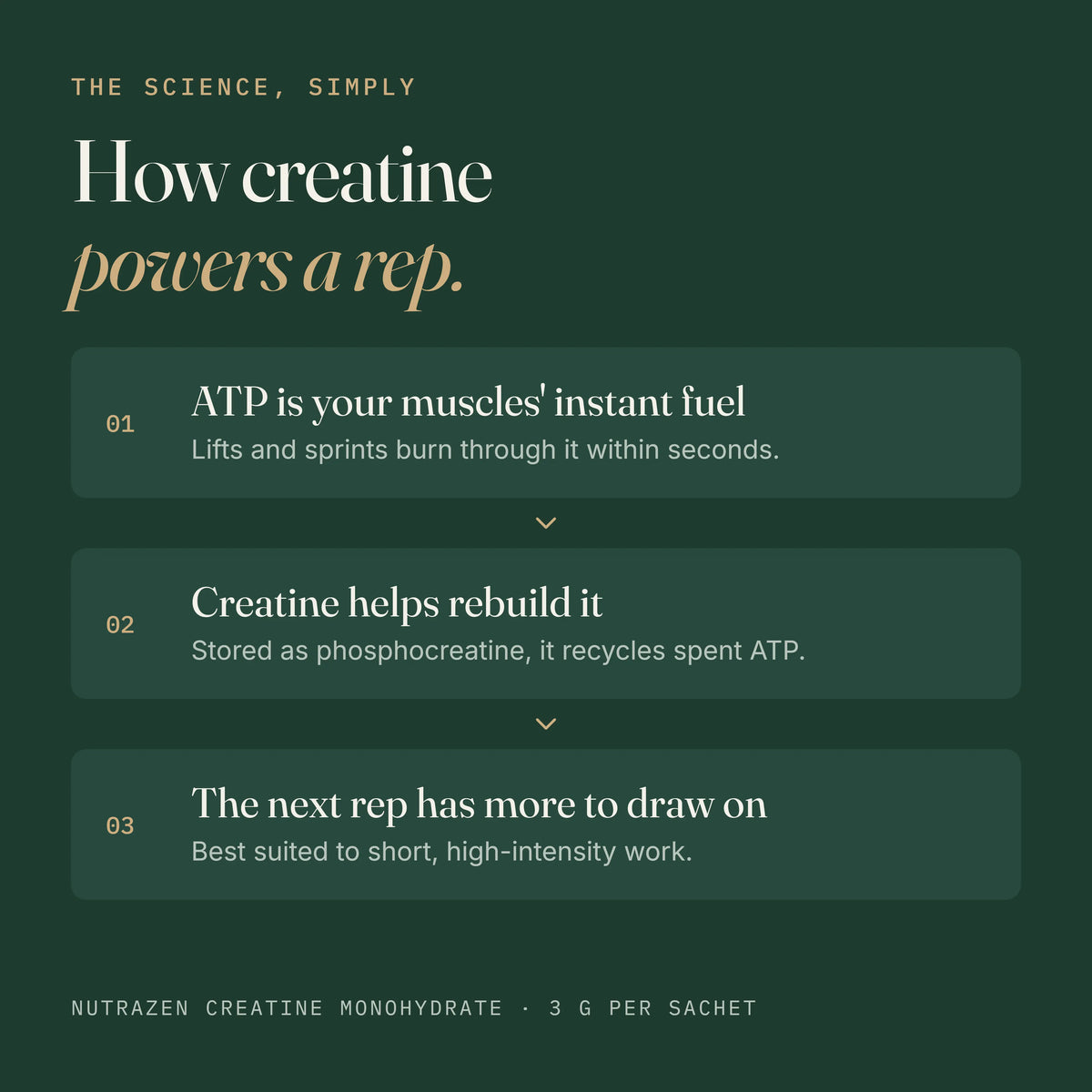Creatine Monohydrate