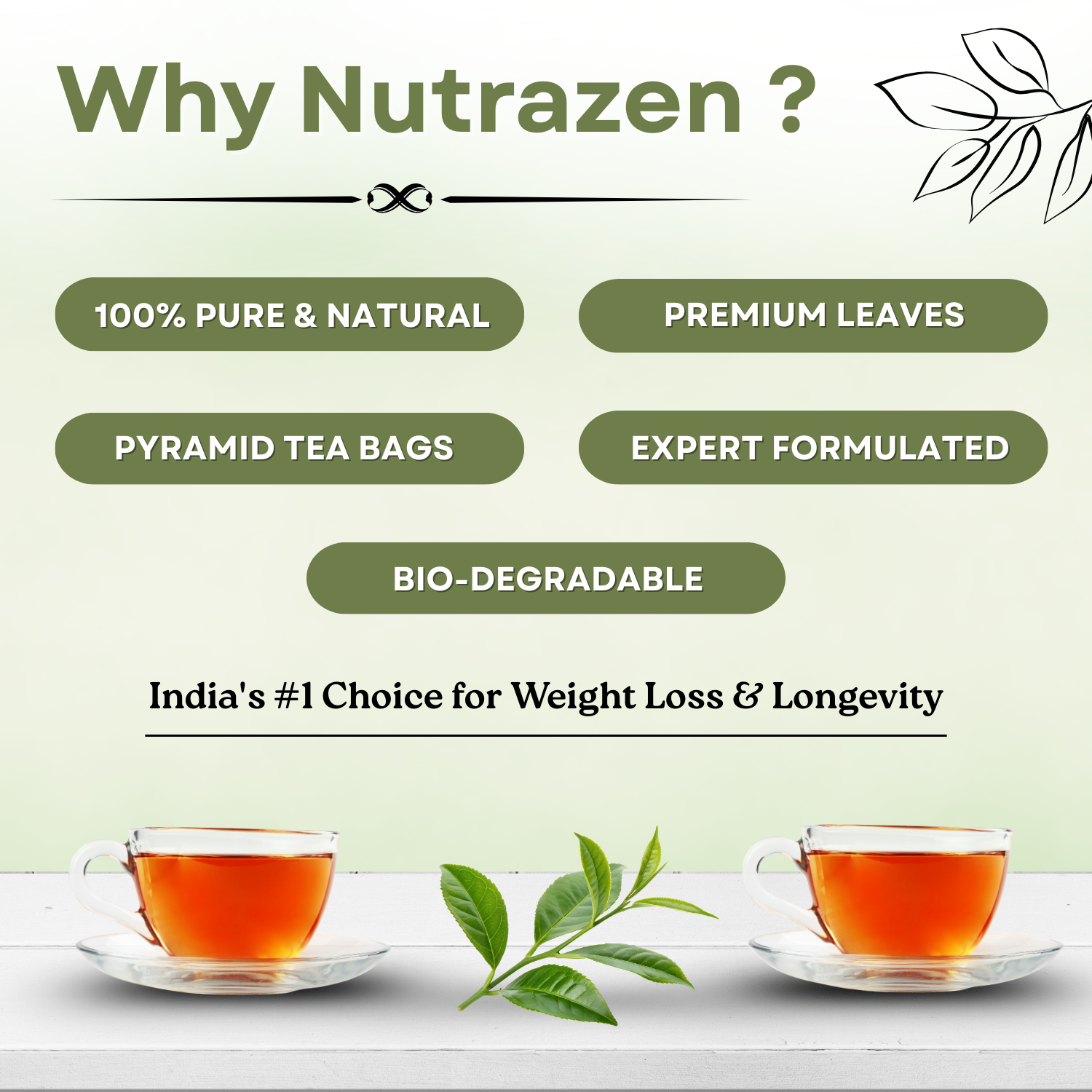 Eternal Brew Green Tea