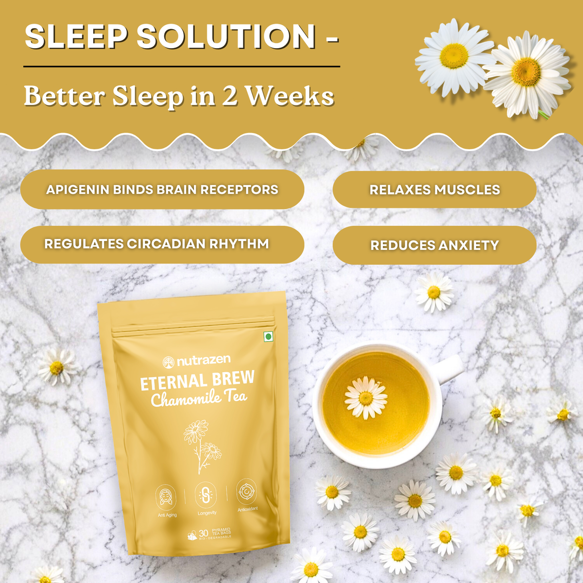 Eternal Brew Chamomile Tea