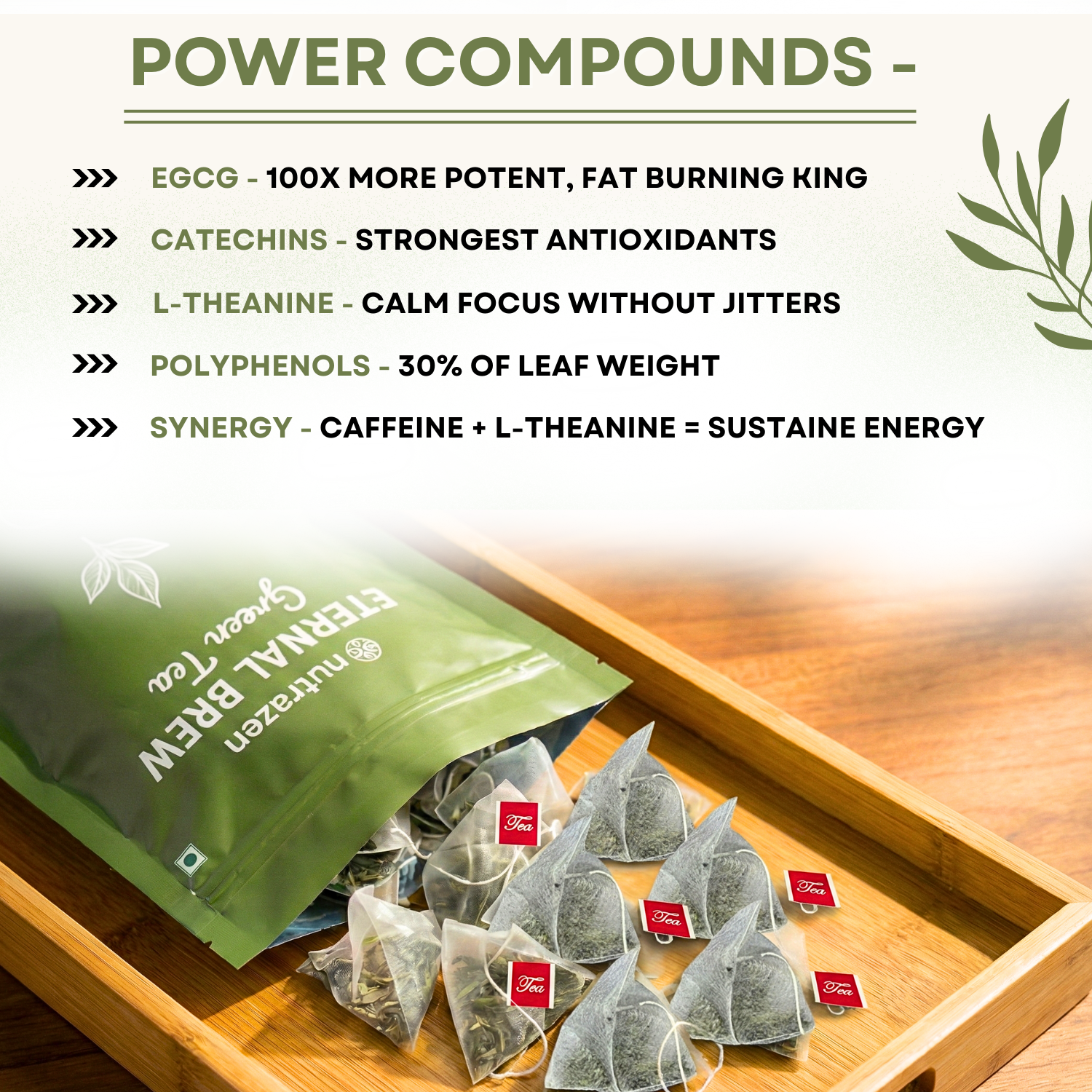 Eternal Brew Green Tea