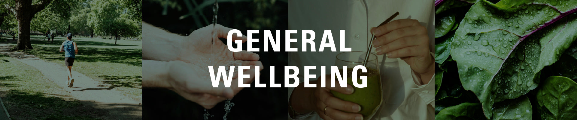 General Wellbeing
