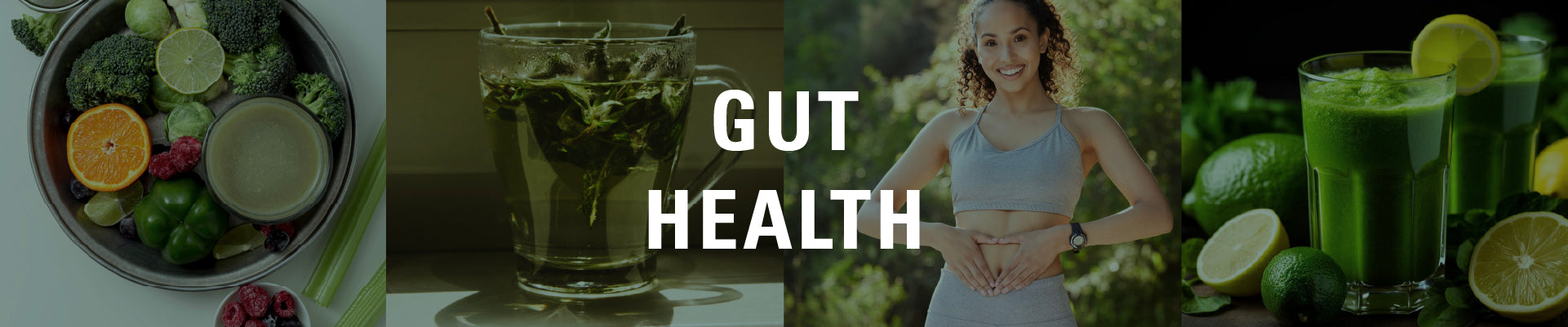 Gut Health