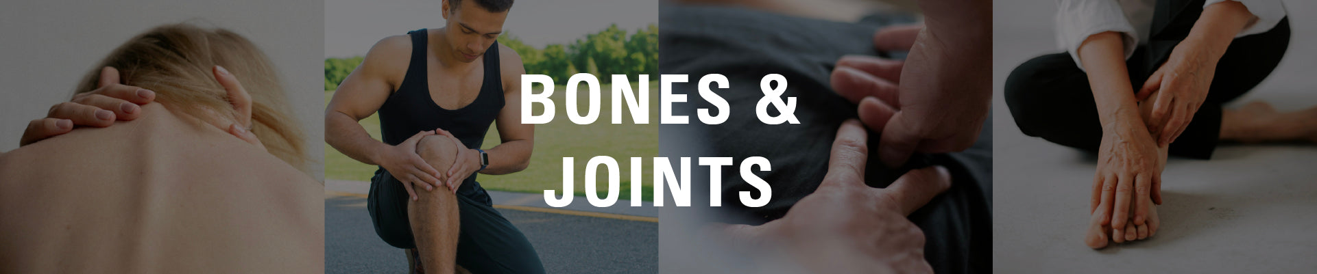 Bones & Joints