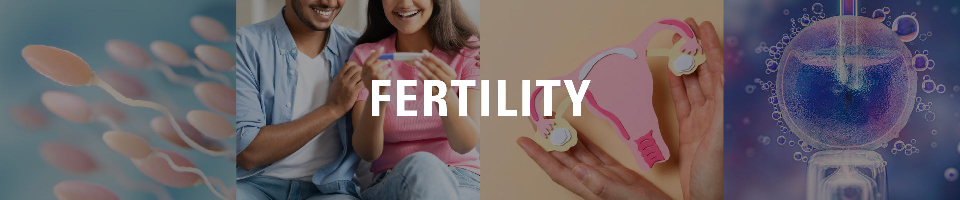Fertility