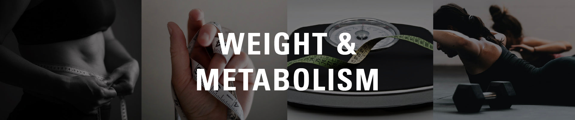Weight & Metabolism
