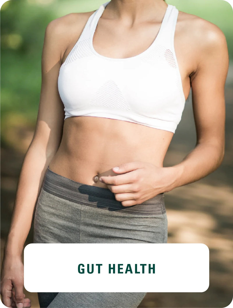 Gut Health