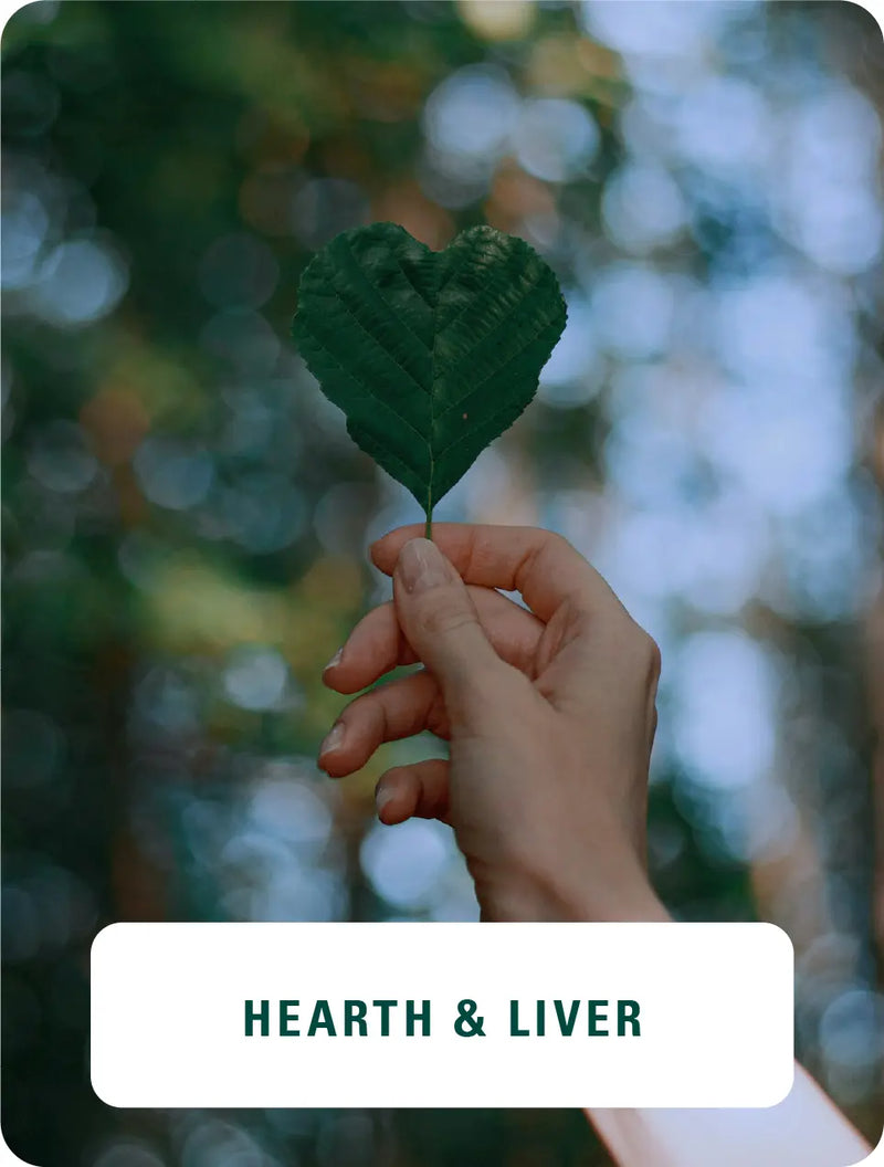 Heart & Liver