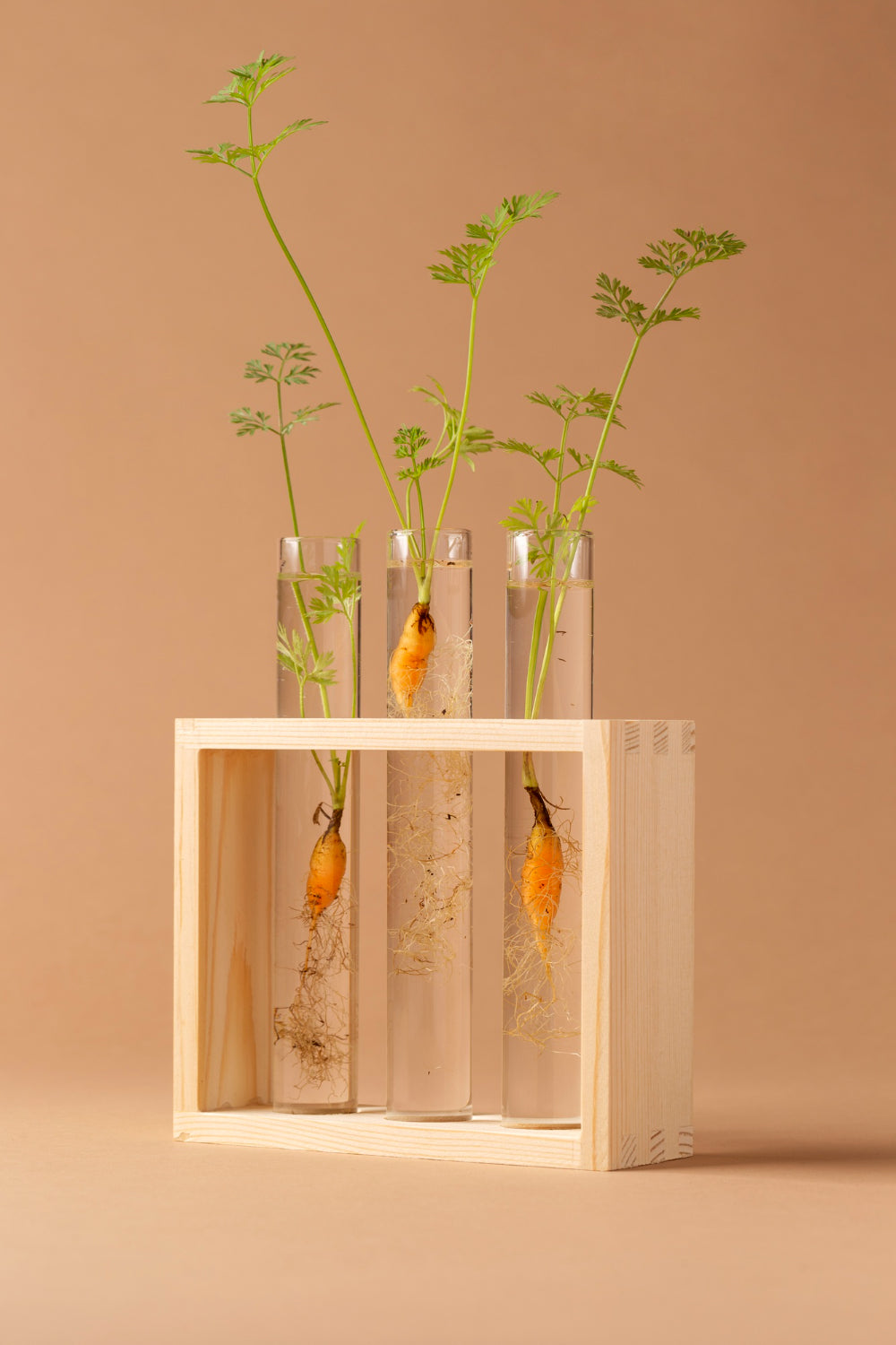 Pure, Plant-Based Formulations